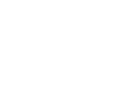 Evolution games at Wildz Casino